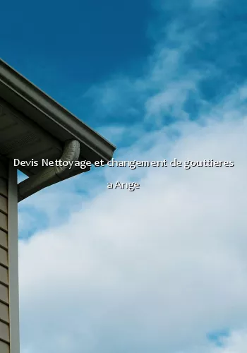 Devis Nettoyage et changement de gouttieres a Ange